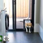 CSI PROWLER PROOF PET DOOR 03
