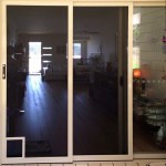 PET DOOR PHOTO 02