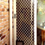 PET DOOR PHOTO 04