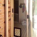 PET DOOR PHOTO 05